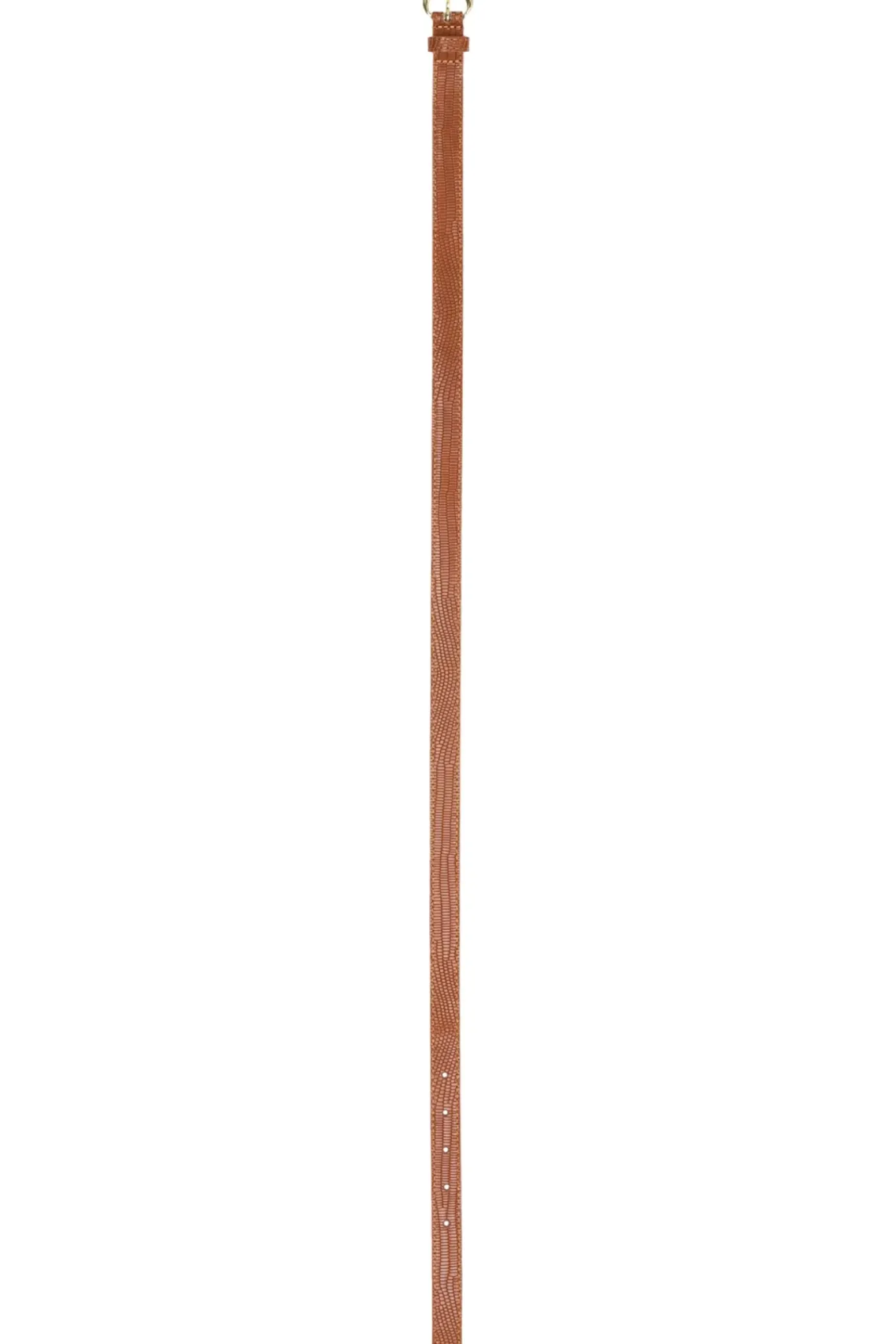Accessoires|LA PETITE ÉTOILE Ceinture Tyron Camel