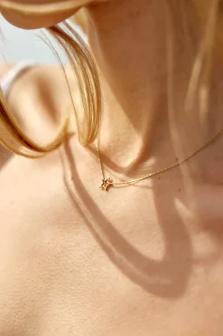 Accessoires|LA PETITE ÉTOILE Collier Lacerta Or